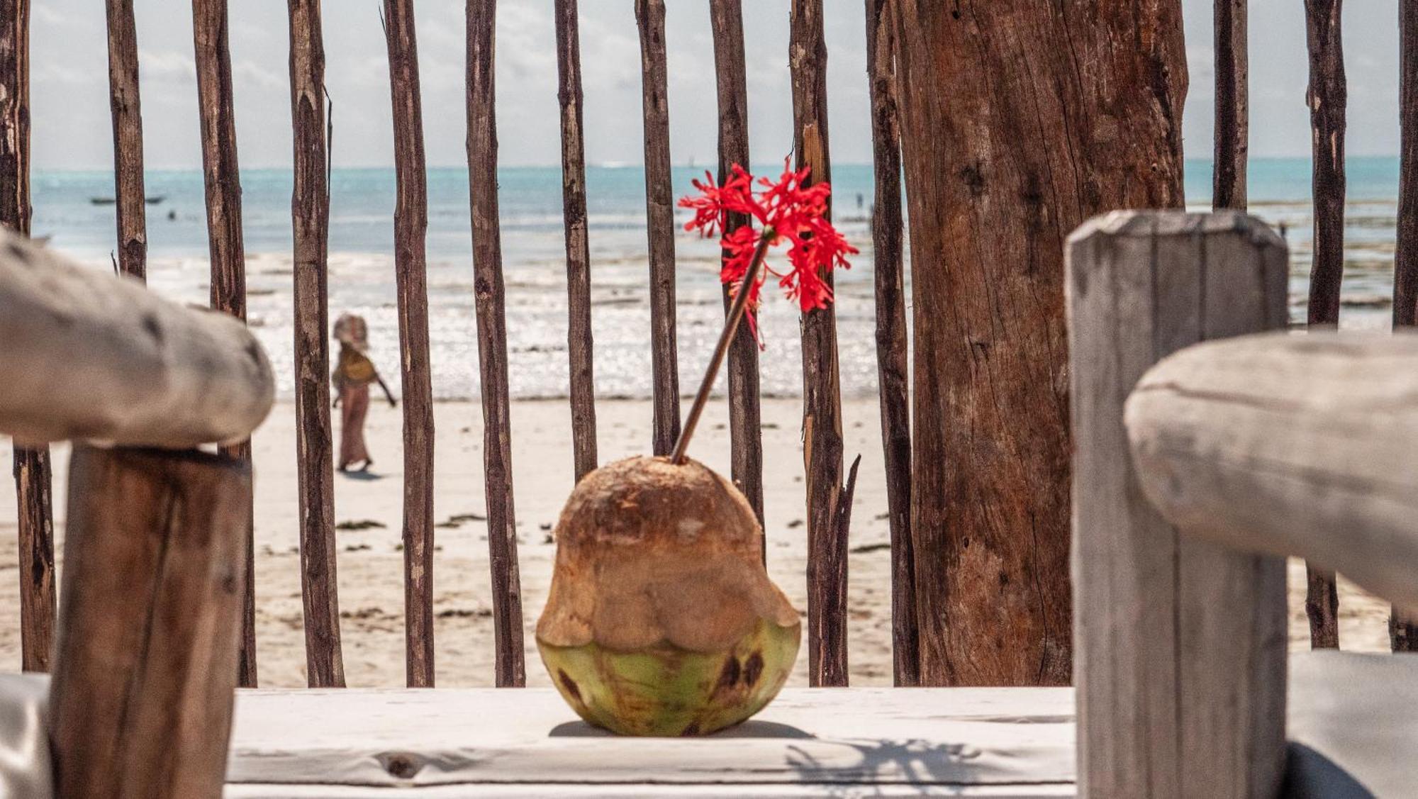 Bahari Beach Bungalows ジャンビアニ エクステリア 写真